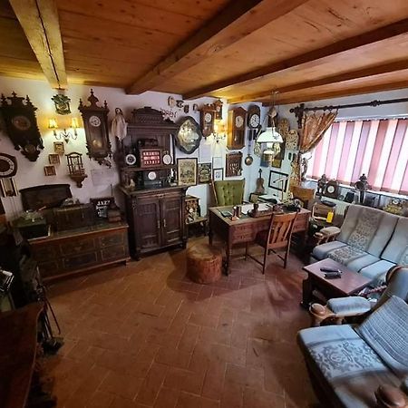 Pensiunea Otilia Sighişoara Extérieur photo